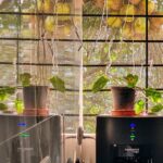 568259434_10163029472803141_927376975108265400_n