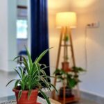 568317889_10163029470313141_2898169886799584468_n