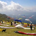 paragliding-at-bir-billing